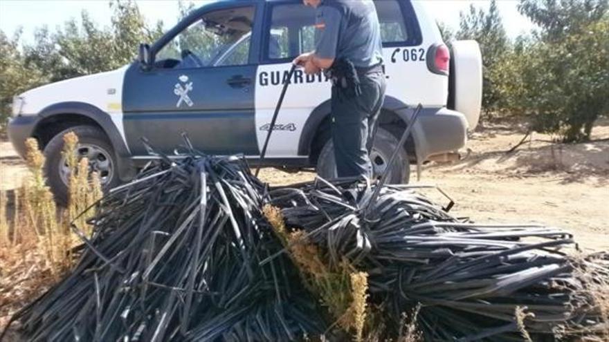 Investigan el hurto  de gomas de riego