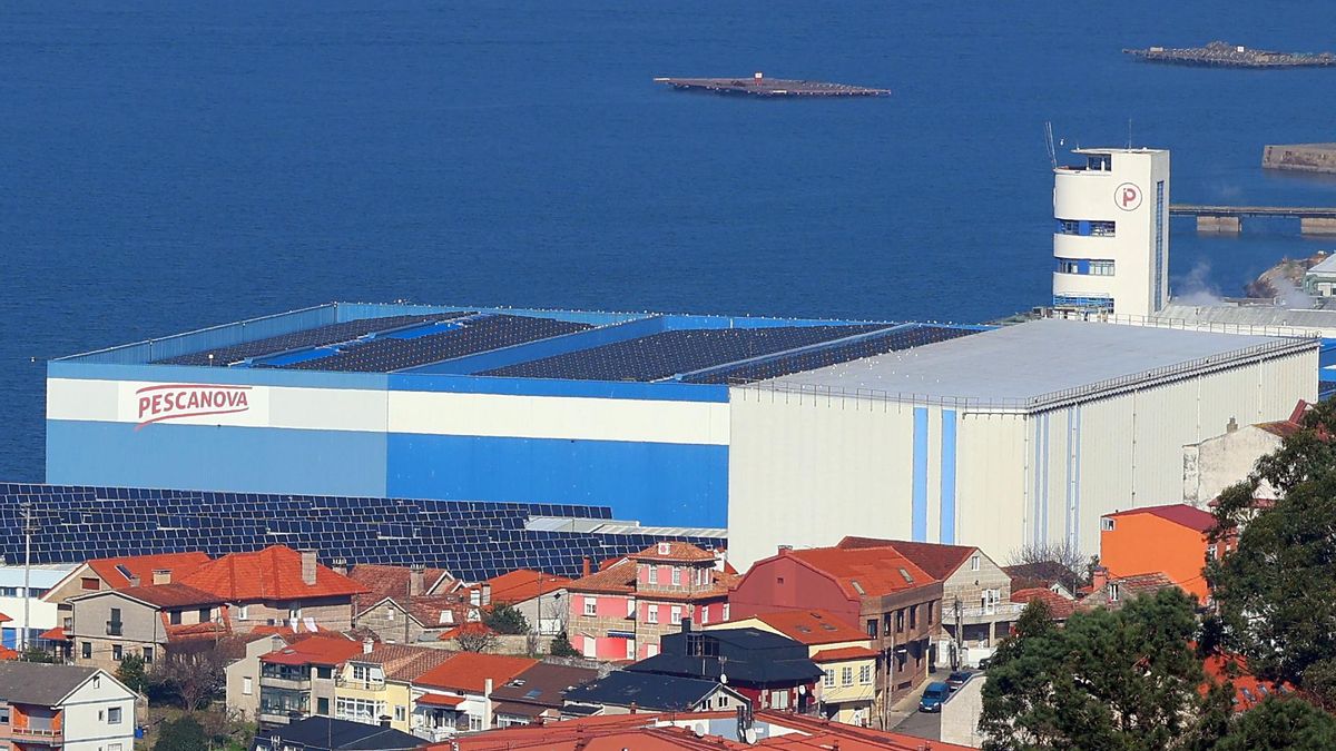Vista de la fábrica de Pescanova