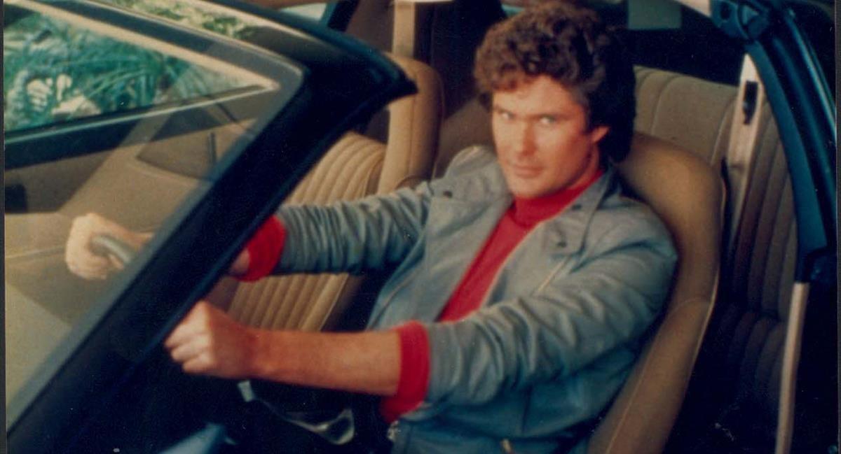 David Hasselhoff.