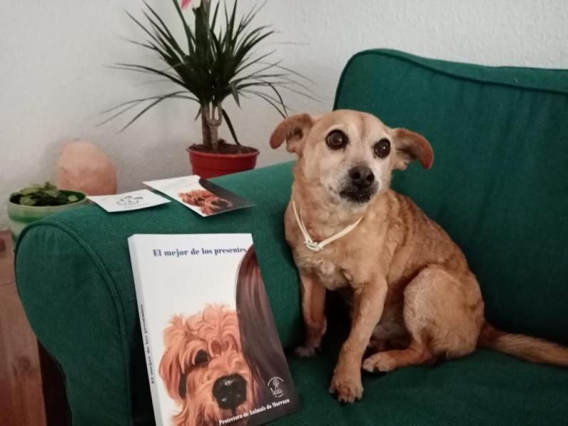 El perro “Tonc” con la portada del libro de cuentos.   | PROTECTORA