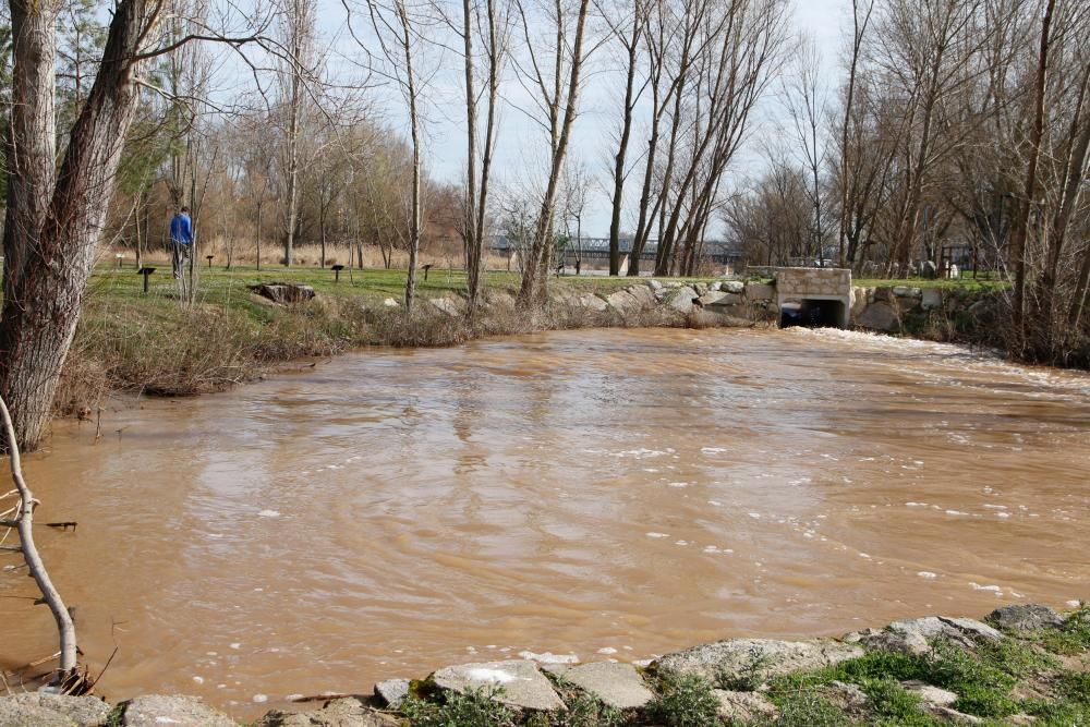 El aspecto del Duero tras las últimas avenidas