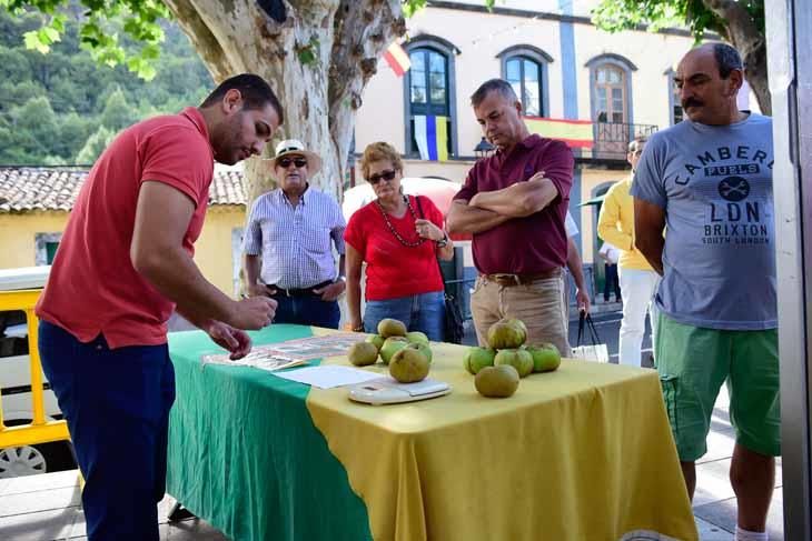 Fiesta de la manzana de Valleseco