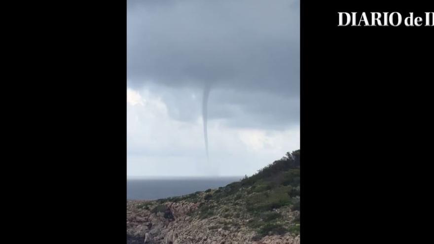 Vídeo: Graban un 'cap de fibló' en aguas de Ibiza