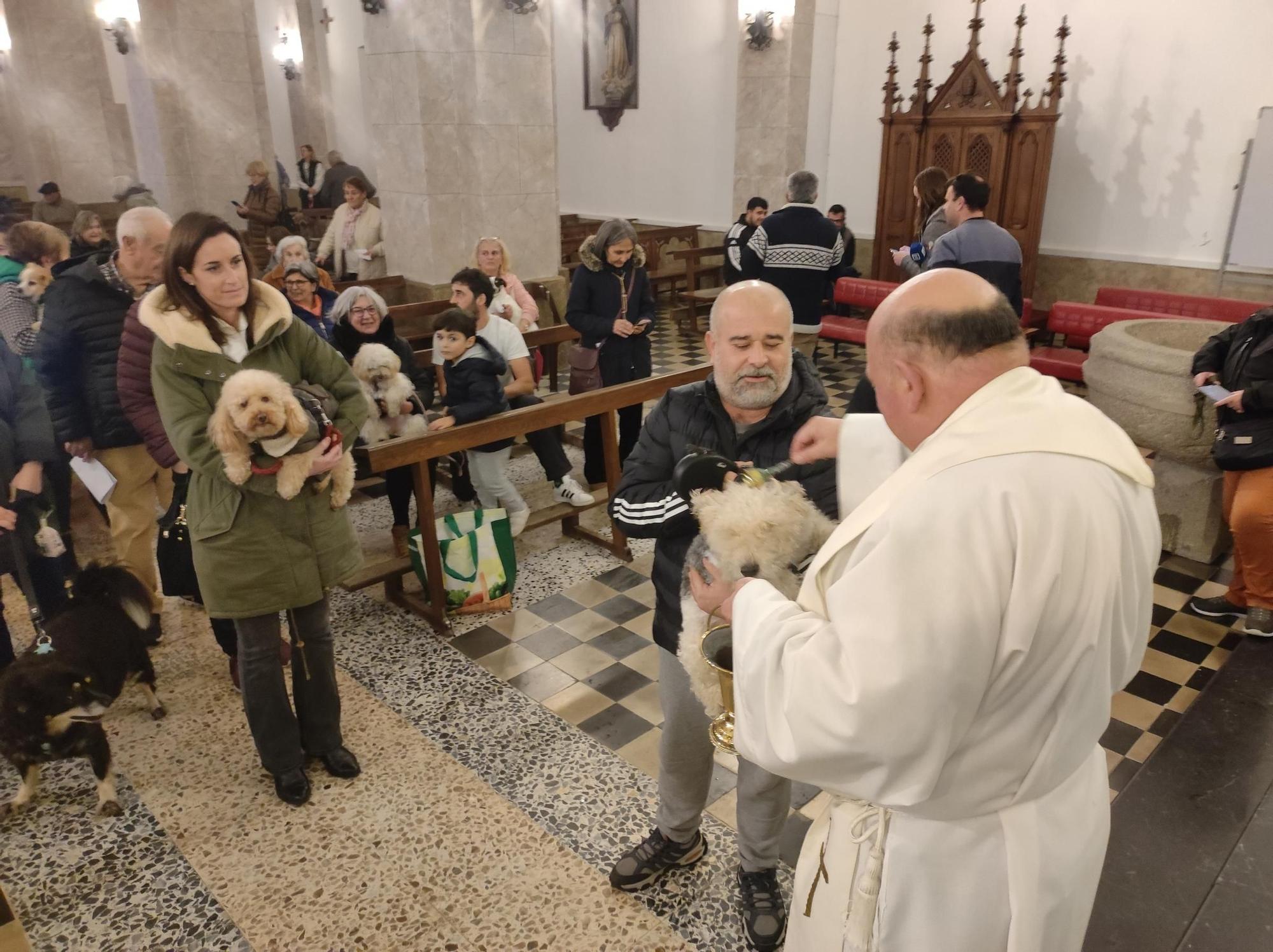 En imágenes: Así fue la bendición de mascotas por San Antón, en Tapia