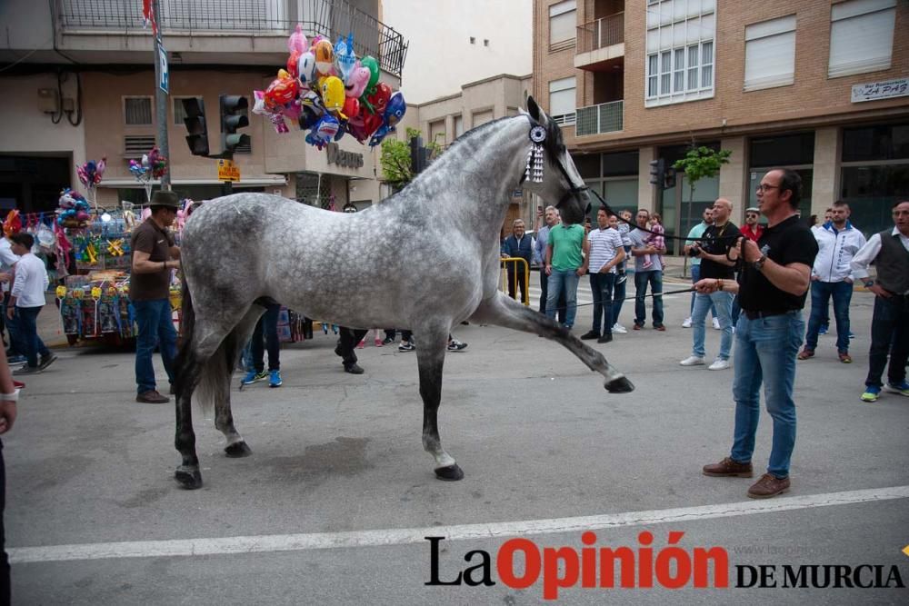 Caballos del Vino: Concurso morfológico (salida Pl