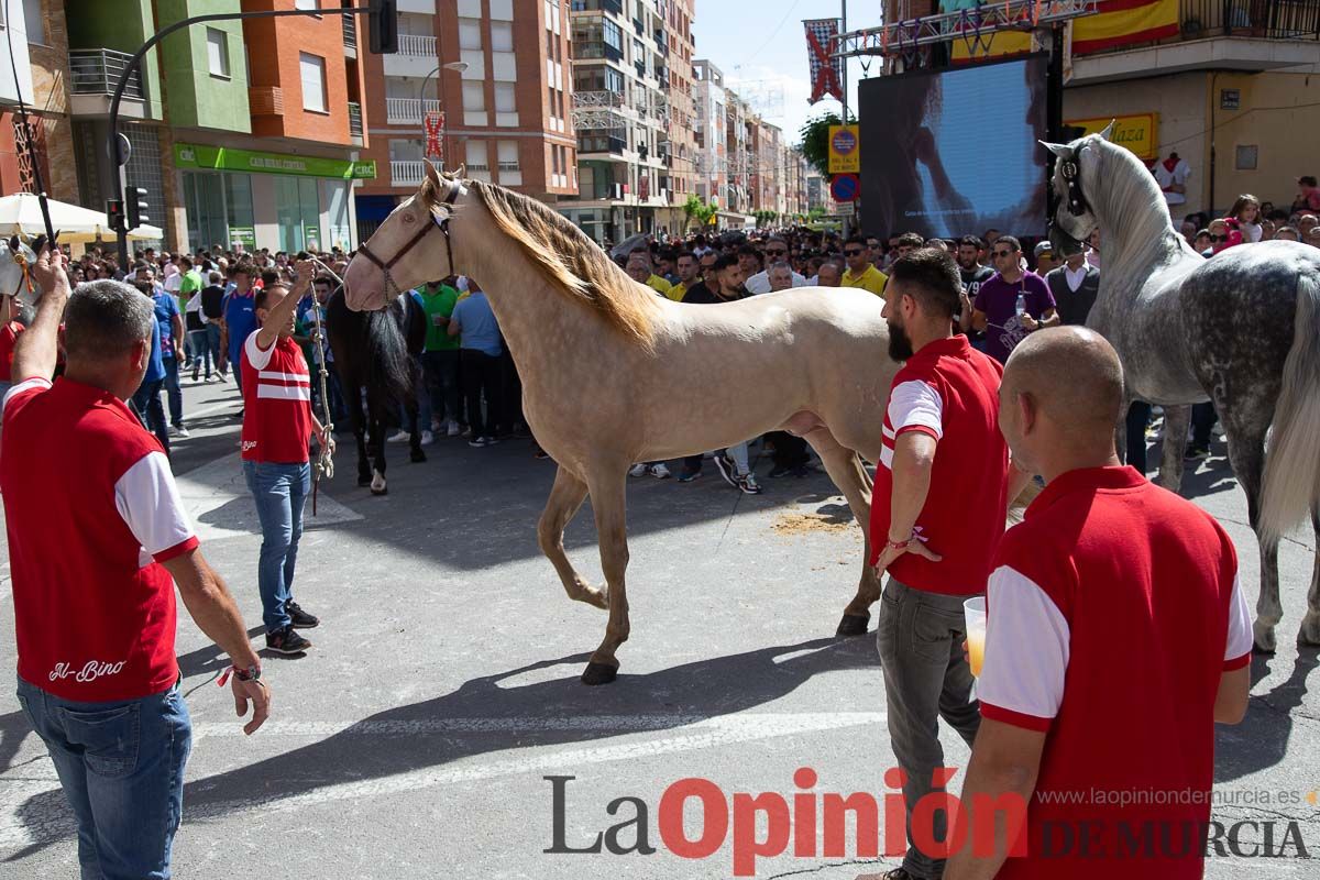 Pasacalles caballos del vino al hoyo