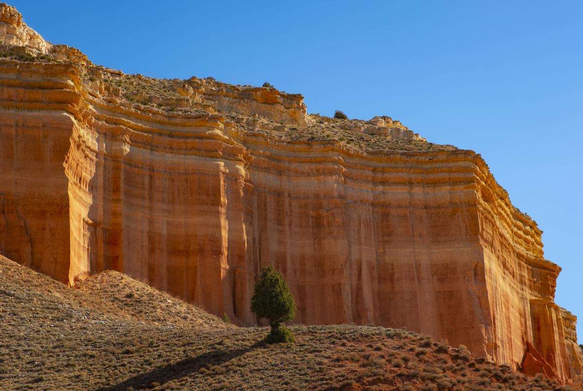 Desierto de la Rambla de Barrachina