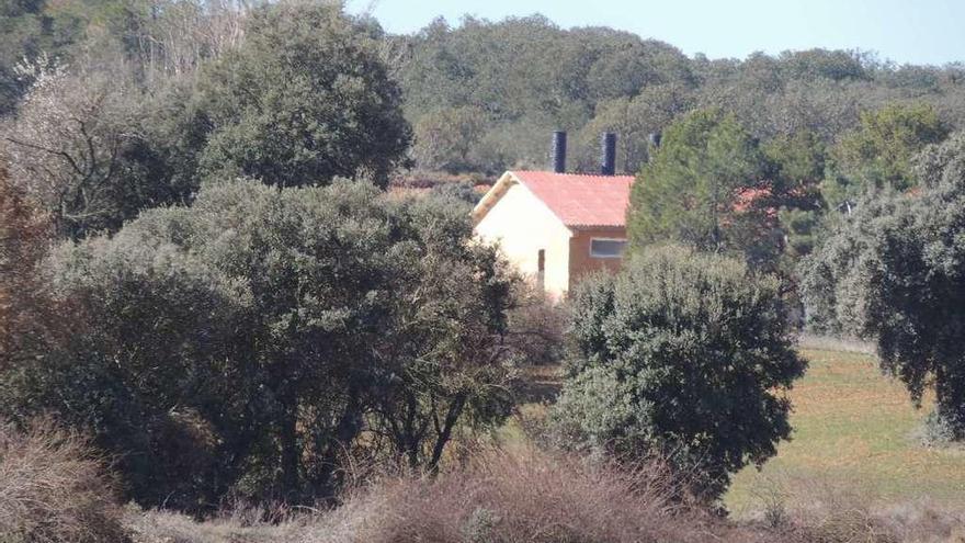 Obras de una macrogranja de cerdos, en el término de Morales.