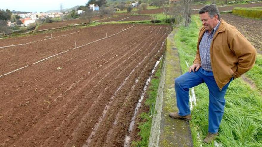 Martín Déniz, ayer, mirando sus tierras de cultivo. | santi blanco