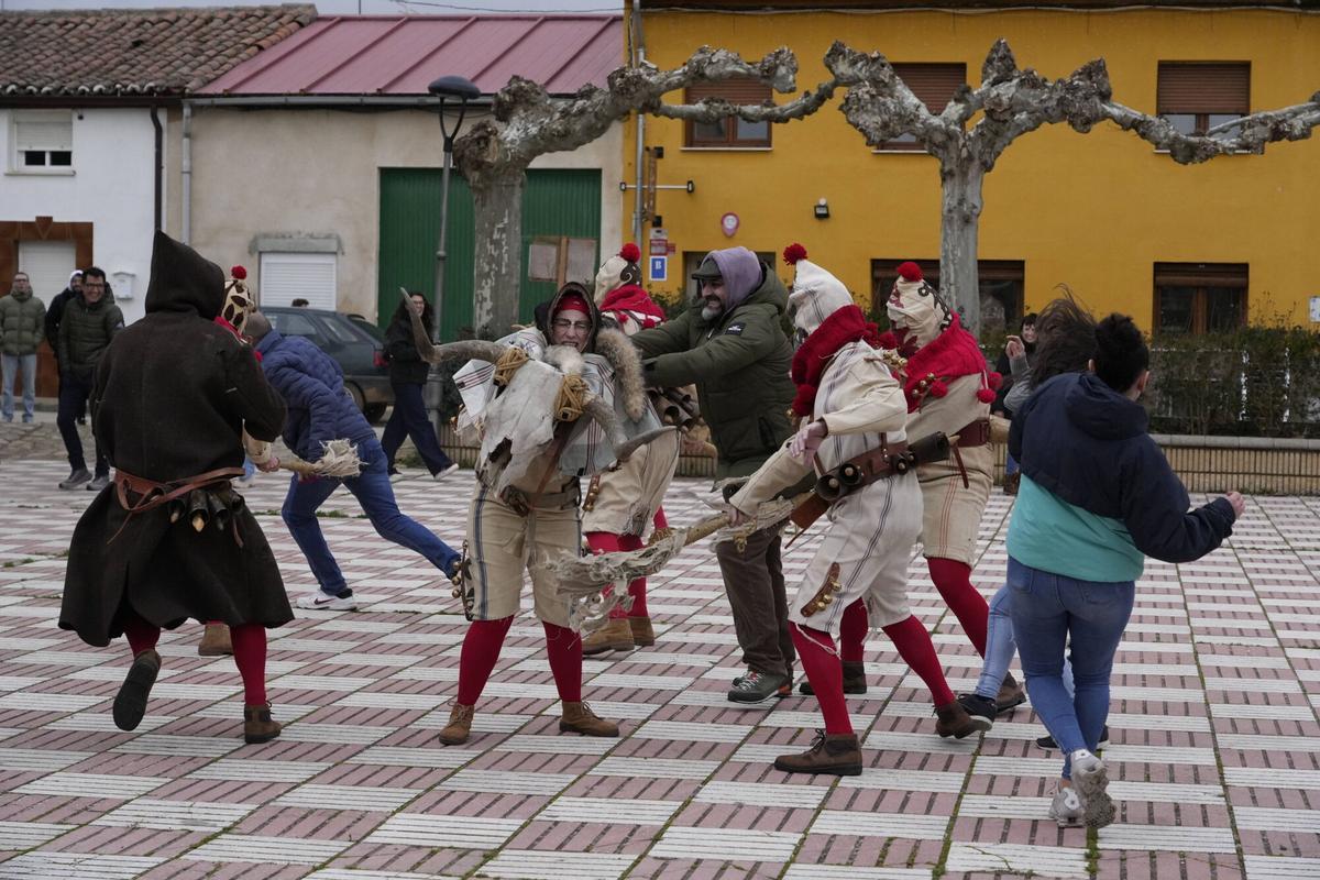 GALERÍA | La Vaquilla y los Cencerros reviven el antruejo más tradicional en Palacios del Pan
