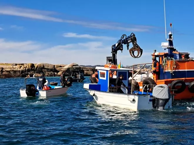 Insólita limpieza en el islote Guidoiro Pedregoso con Plancton