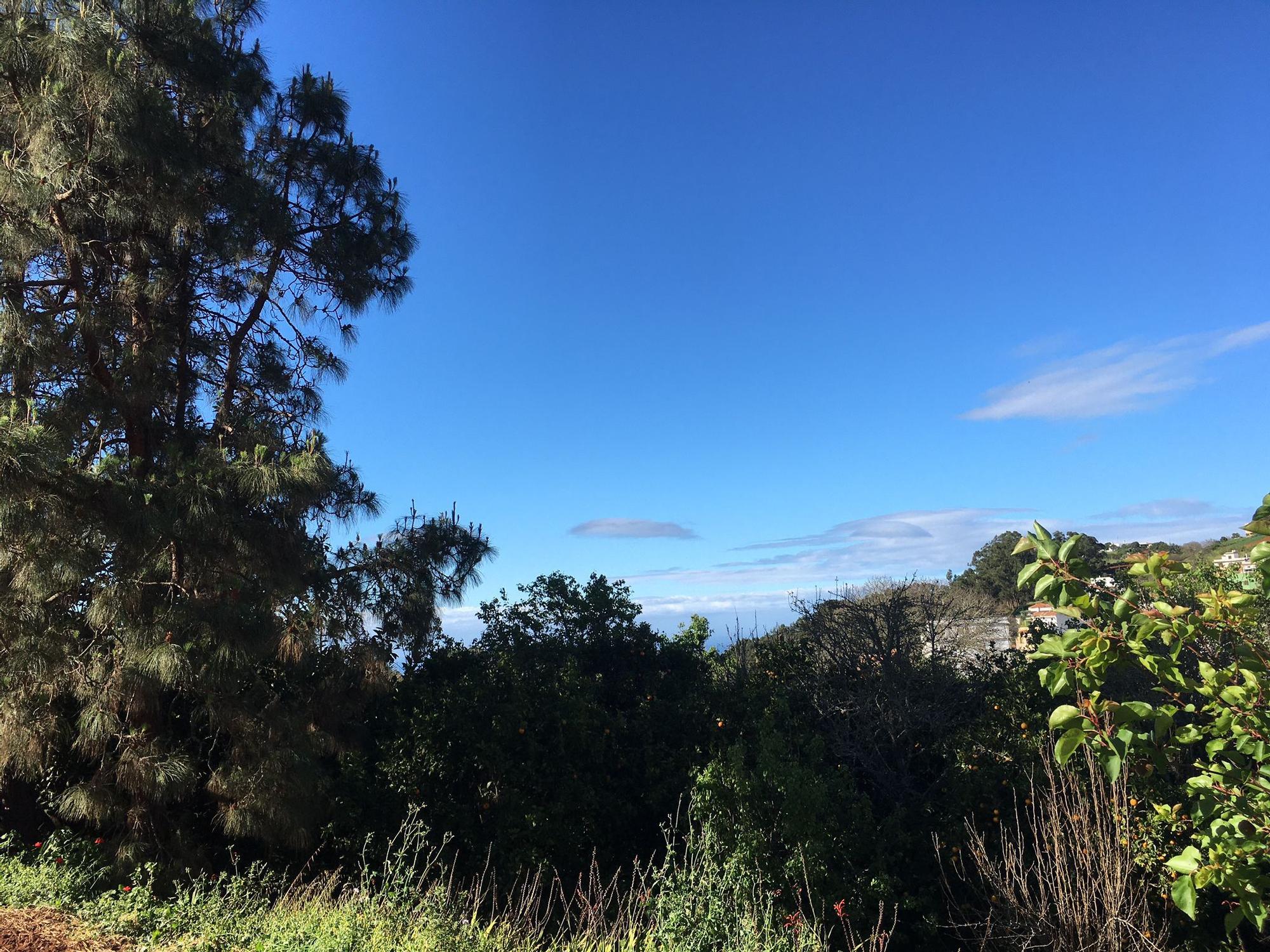 Tiempo en Gran Canaria (31/03/2021)