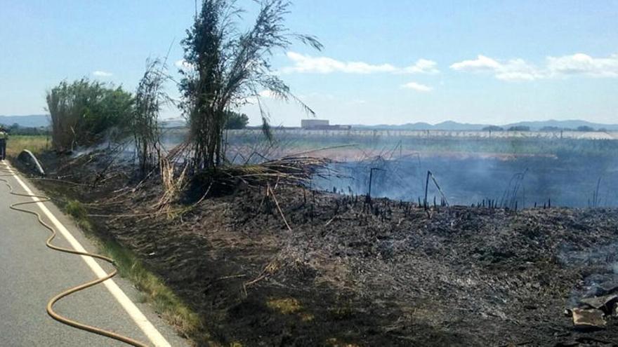 Cremen 2,5 hectàrees de vegetació entre la Tallada i Ullà