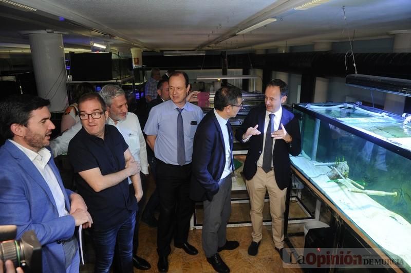 El acuario de la UMU albergará las especies emblemáticas del Mar Menor