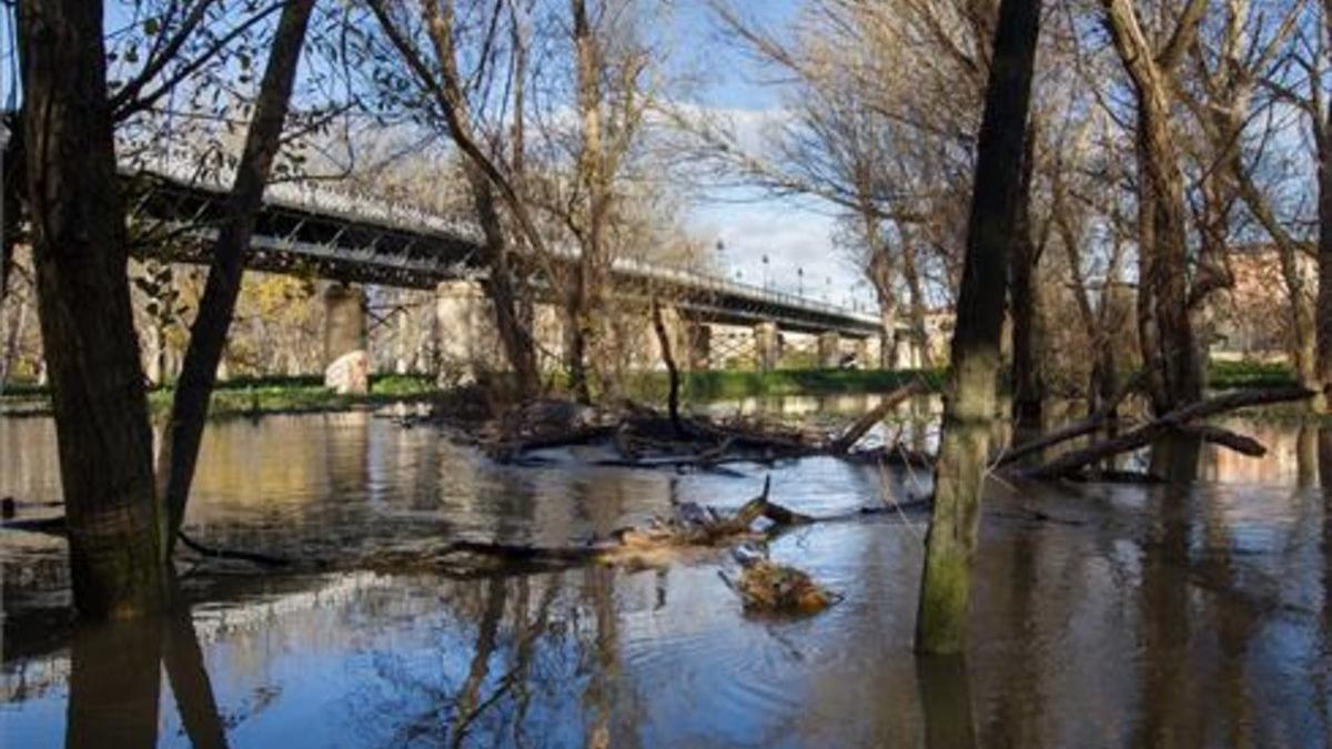 El Gobierno de Aragón activa la fase de Emergencia Nivel 1 por la crecida del Ebro
