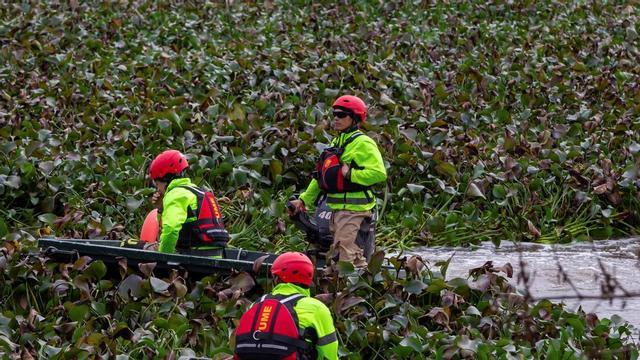 Un río invadido por el camalote