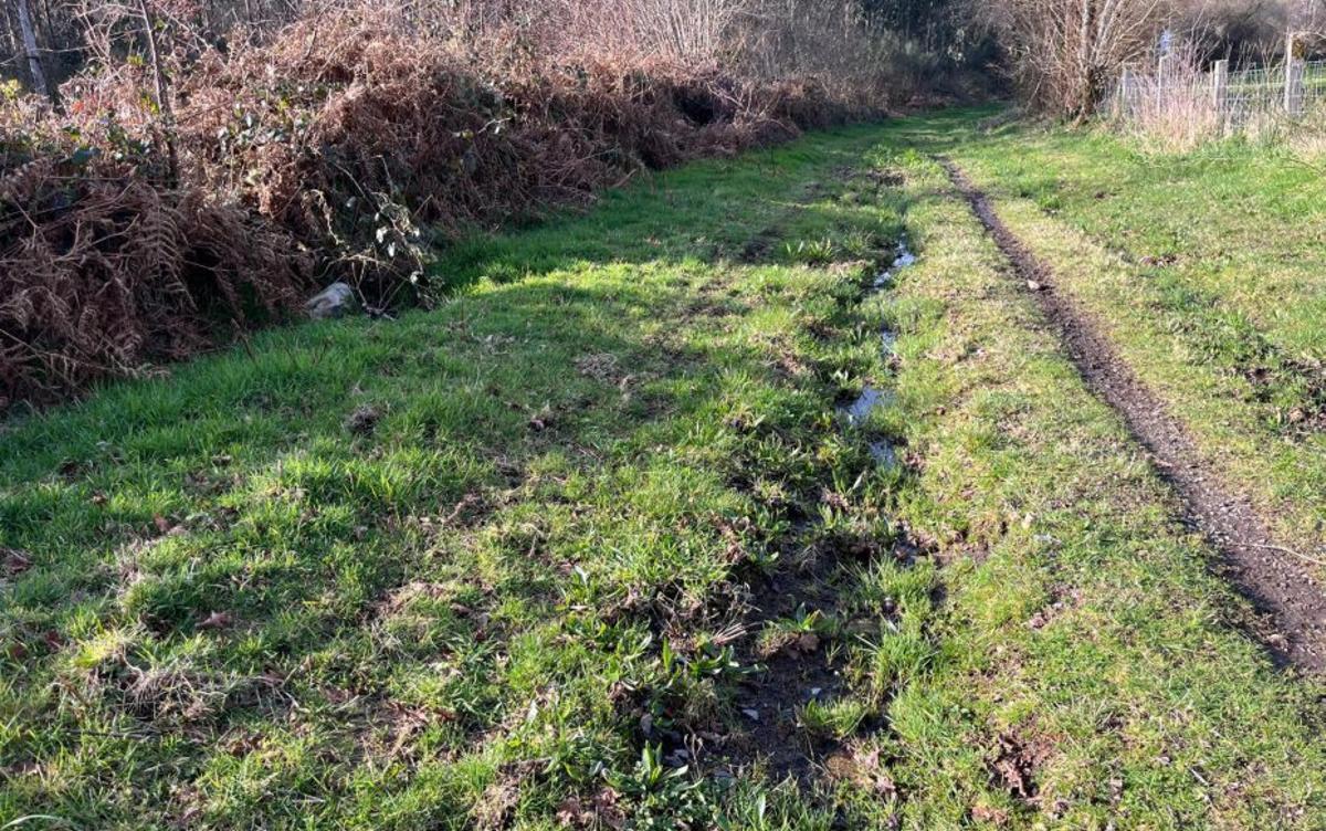 El camino, con lodazales y superficie irregular. |