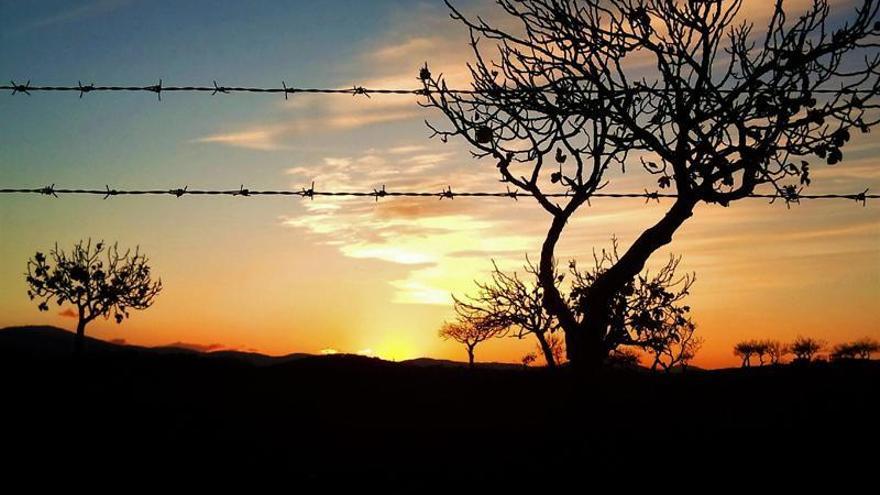 Los Agentes Forestales de Monesterio desarrollan una campaña sobre cercados de fincas