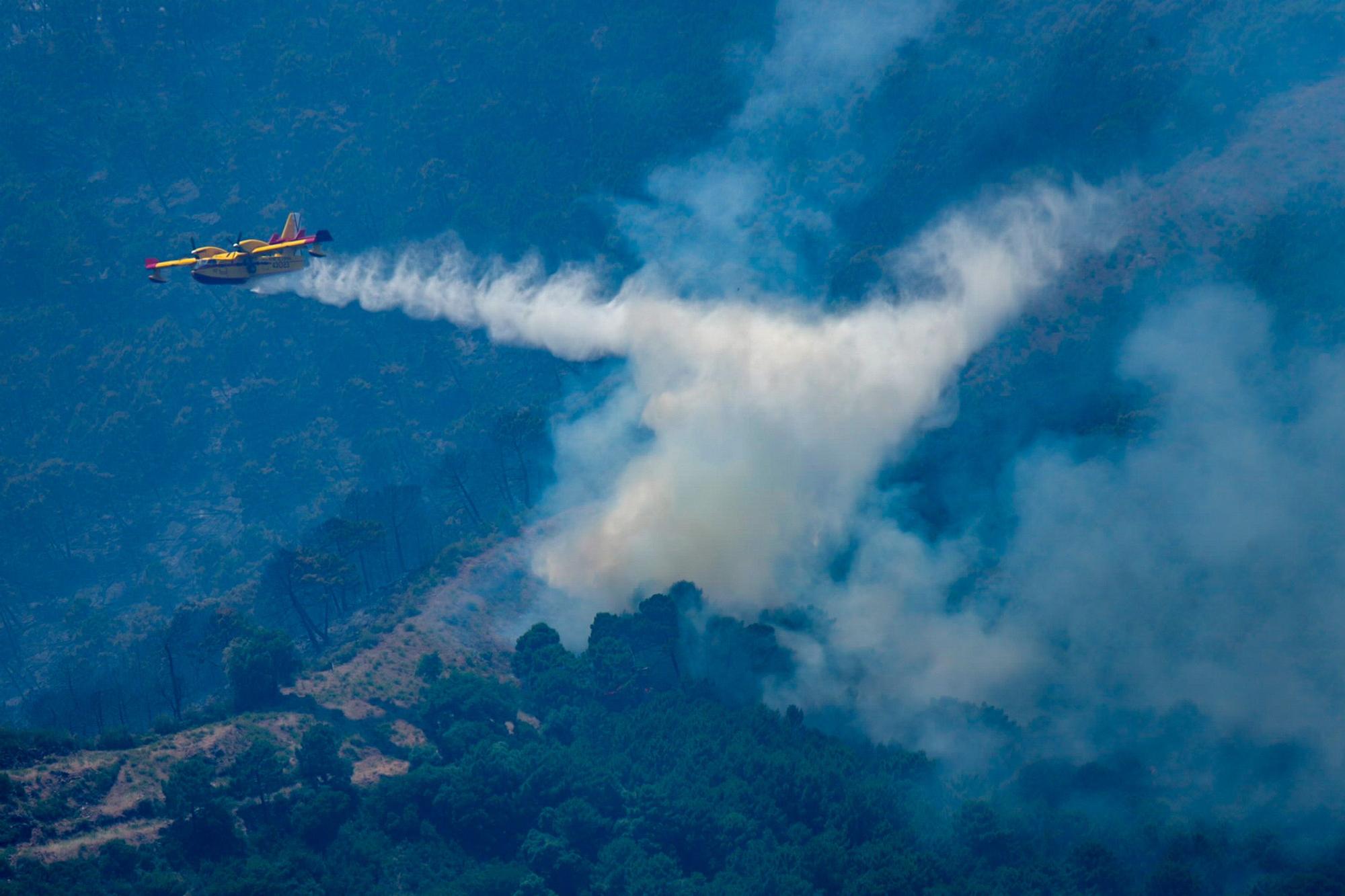 Waldbrand an der Costa del Sol