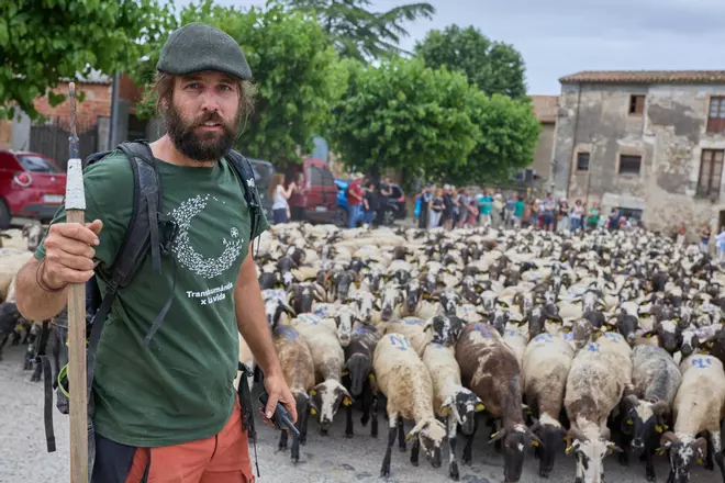 Les fotos de la transhumància del ramat d'ovelles d'Arnau Rubio a Crespià