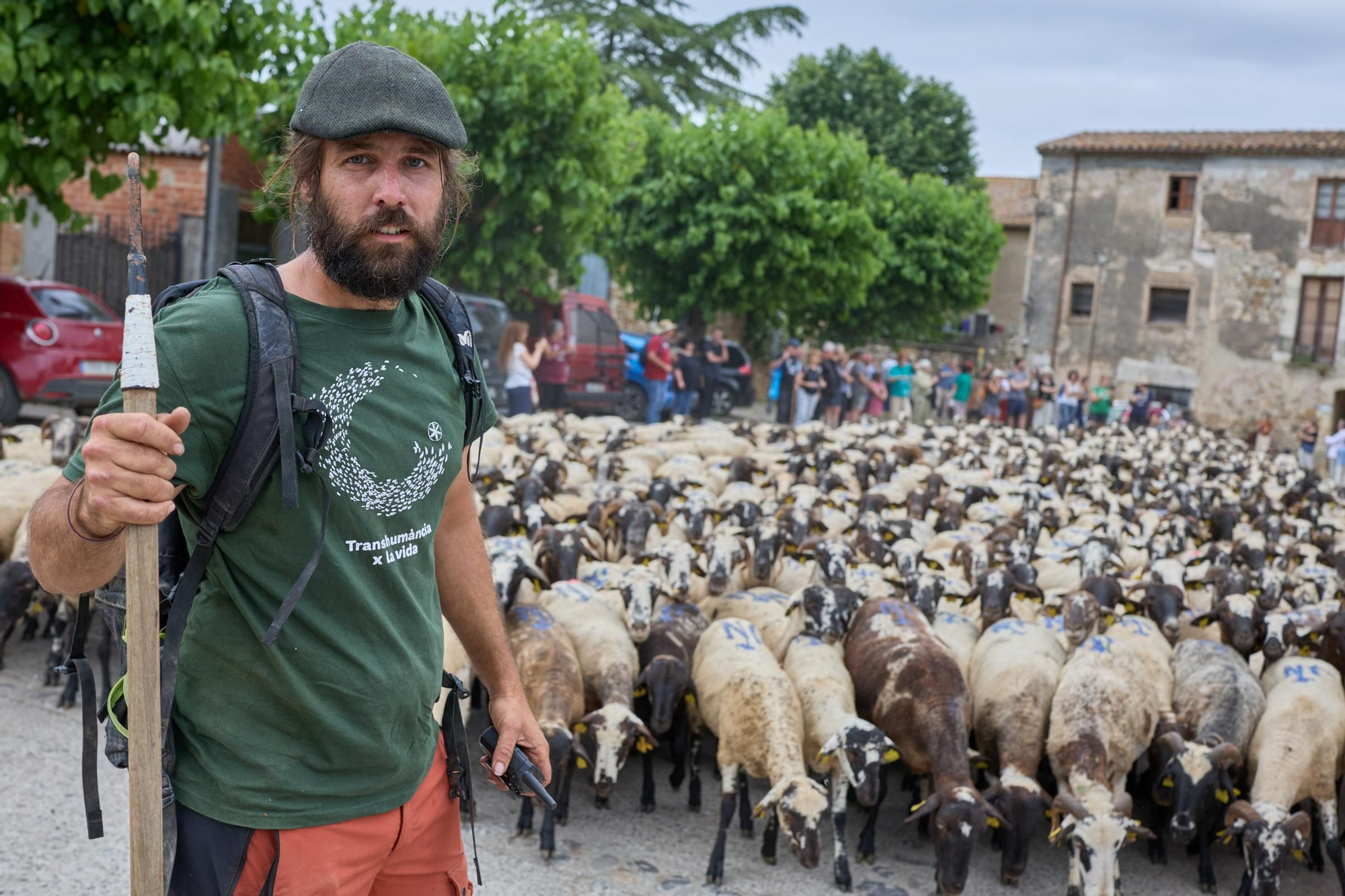 Les fotos de la transhumància del ramat d&#039;ovelles d&#039;Arnau Rubio a Crespià
