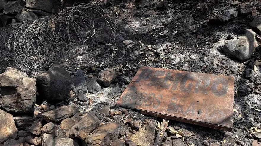 La destrucción que el incendio del 25 de julio dejó en la ganadería de reses bravas más antigua de la Vall d'Uixó