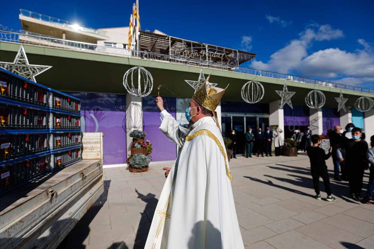 Bendición de animales en Sant Antoni