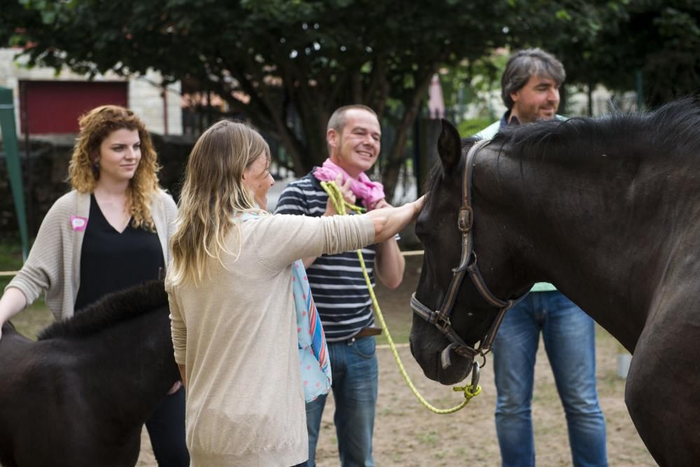 'Coaching' con caballos para empresarios