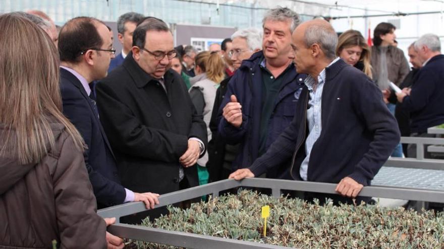 El rector de la UMU (c) asistió a la inauguración.