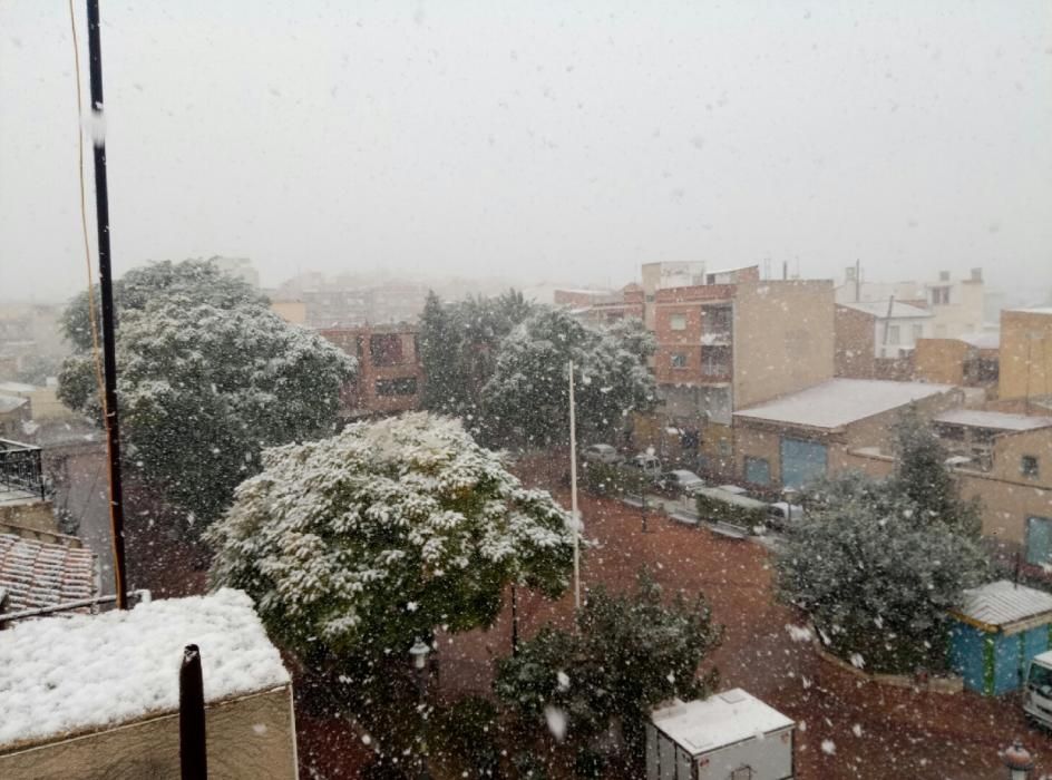 Nieve en Javalí Nuevo