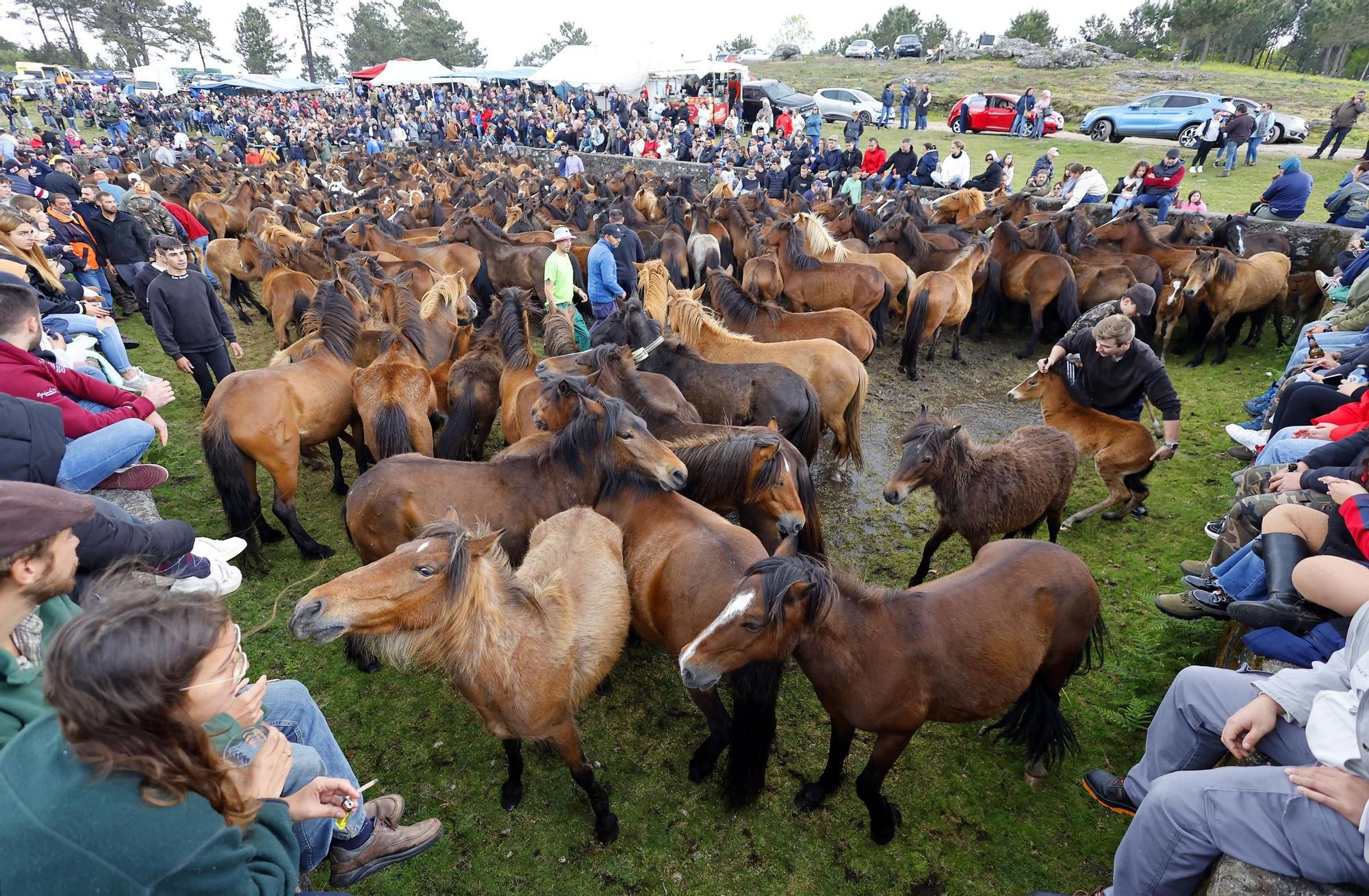 Valga inaugura la temporada de curros