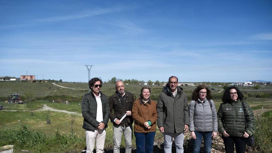 El Ayuntamiento de Cáceres activa un servicio de desbroce y control de vegetación permanente, los 365 días
