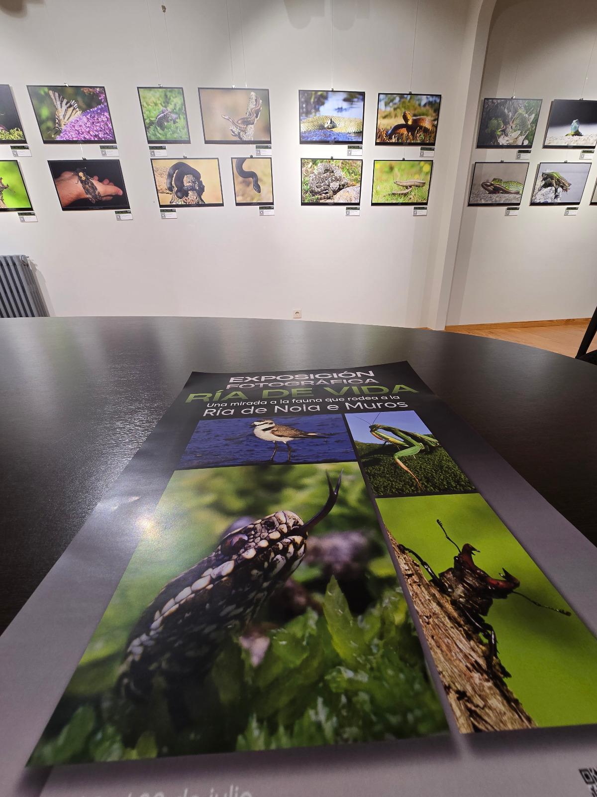 Del ciervo volante a la cobra de agua viperina: los disparos (fotográficos) de un militar que documenta la fauna de Muros-Noia Del ciervo volante a la cobra de agua viperina: los disparos (fotográficos) de un militar que documenta la fauna de Muros-Noia