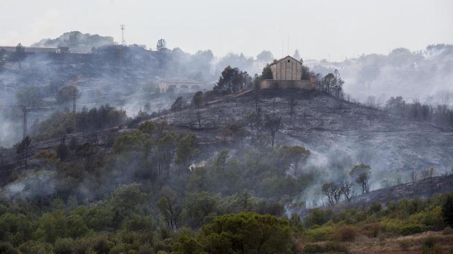 Des de demà està prohibit fer foc al bosc a Catalunya