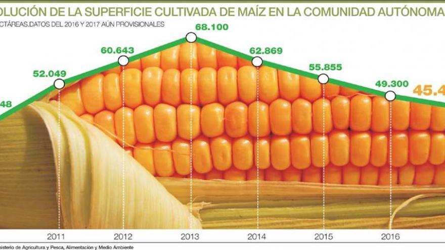 La superficie de maíz desciende en la región un 33% en cuatro años