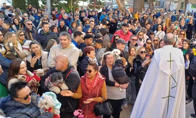El barrio de San Antón de Orihuela acoge la tradicional bendición de los animales