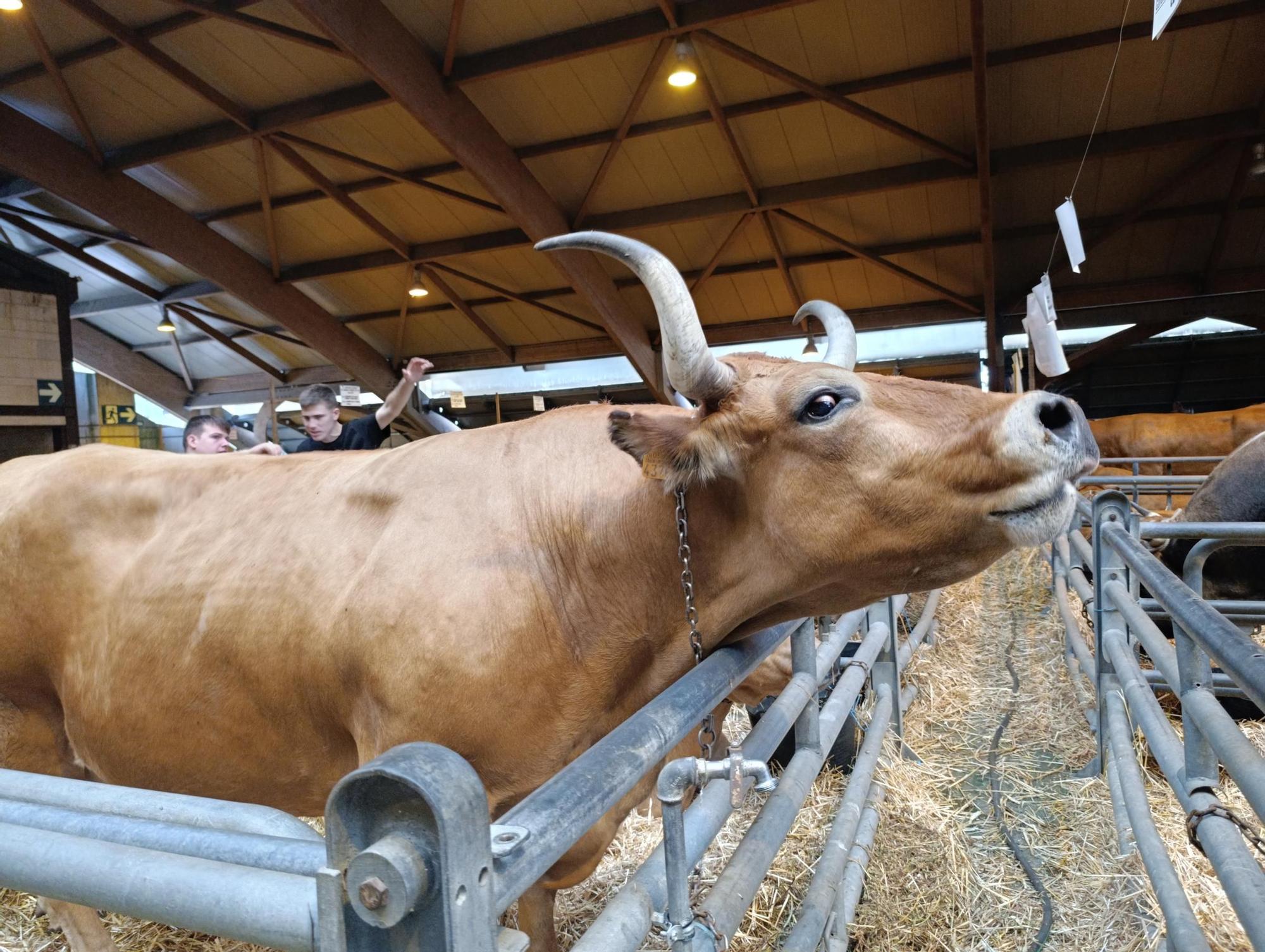 Arranca Agrosiero en La Pola
