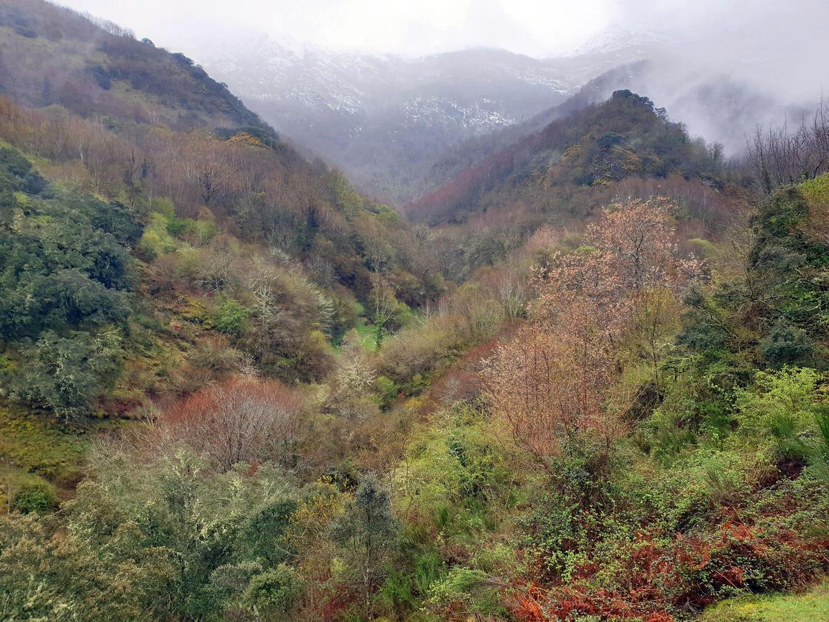 Folgoso do Courel/Caurel (Comarca de Quiroga, Sierra del Courel, Lugo). Ruta circular por la Devesa da Rogueira