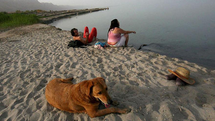 Una pareja, junto a su perro en un playa.