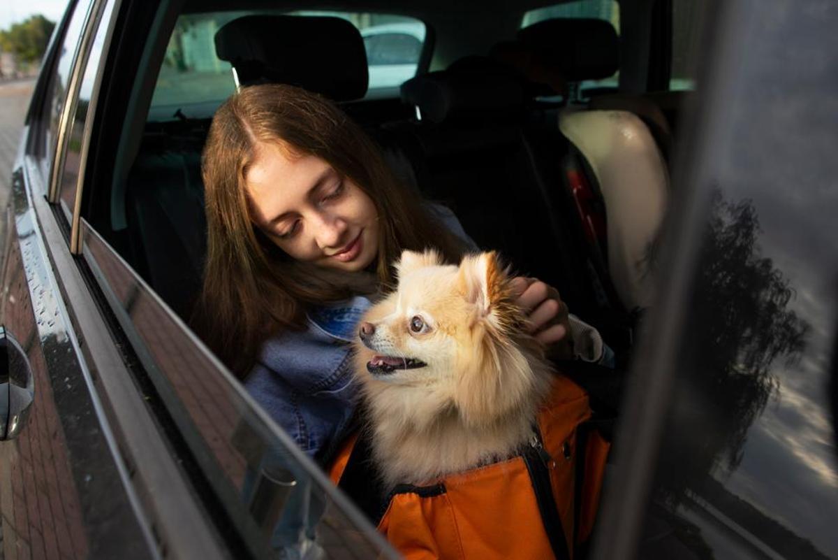 La seguridad a la hora de viajar con mascotas es fundamental
