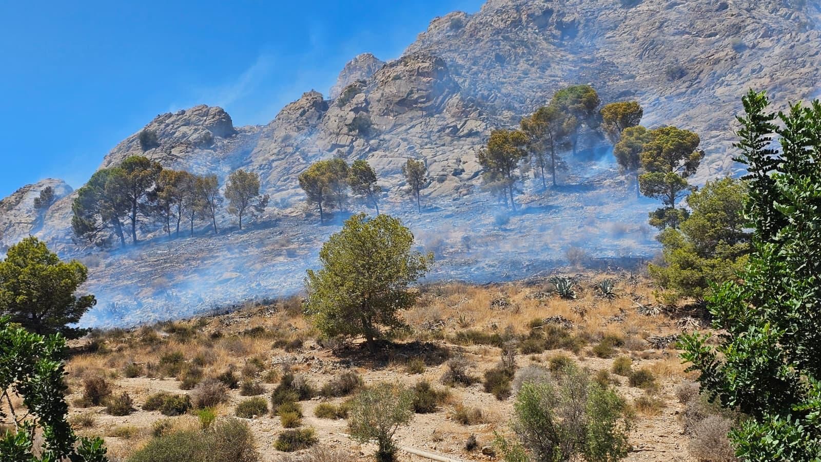 Controlado el incendio forestal que afectaba a la Sierra de Orihuela en La Aparecida