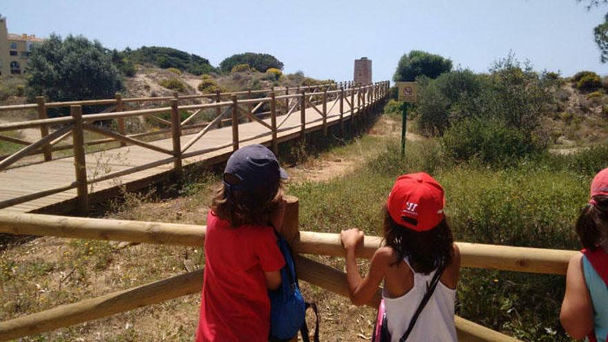 El Monumento Natural Dunas de Artola-Cabopino.