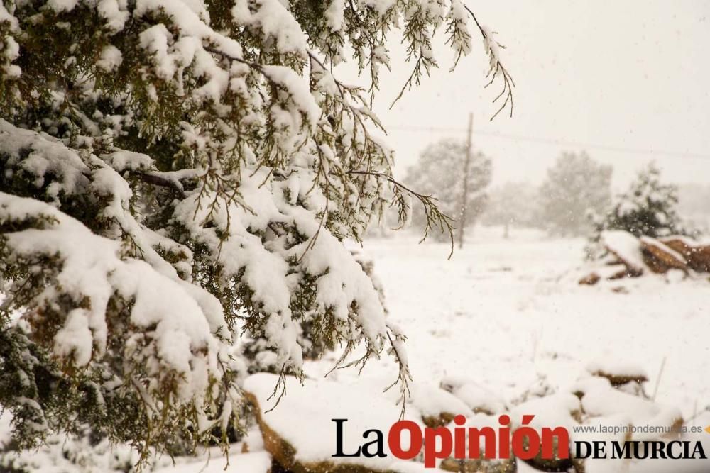 Nieve en las pedanías altas del Noroeste