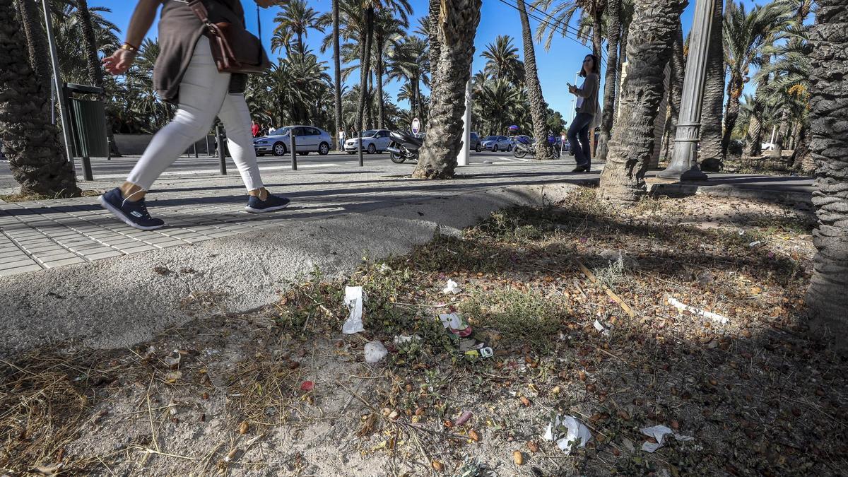 Restos de basura junto a un huerto histórico de palmeras en Elche