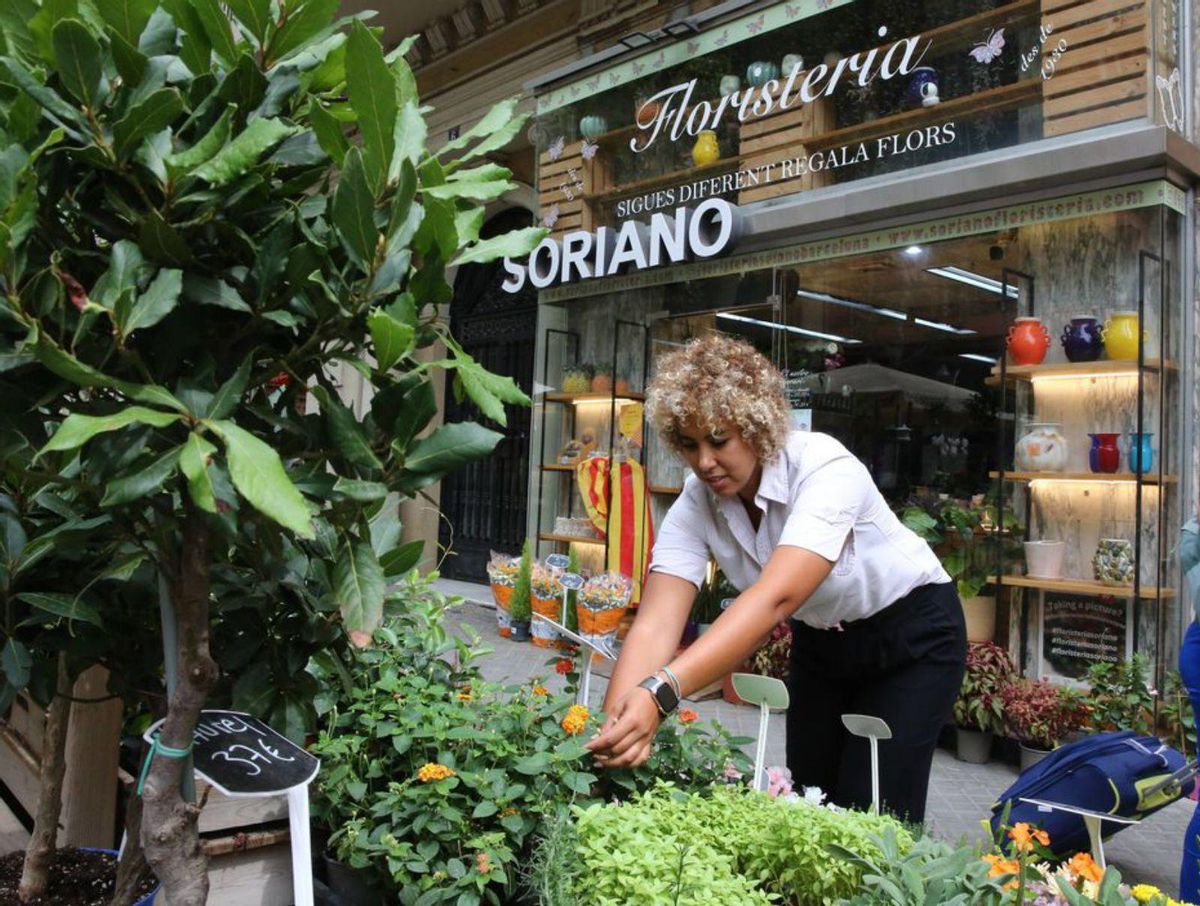BCN ofereix 20.000 euros per salvar la floristeria Soriano