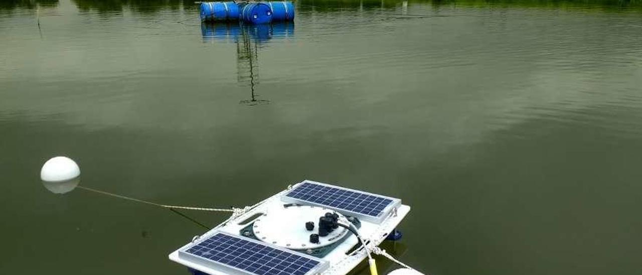 El sistema central (primer plano) y el alimentador (al fondo) en una granja de Ecuador. / Marine Instruments