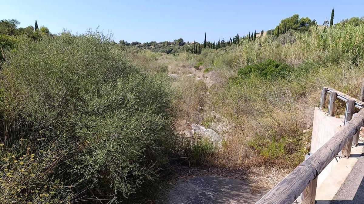 Limpieza en el torrent de ses Planes, en Sant Llorenç.