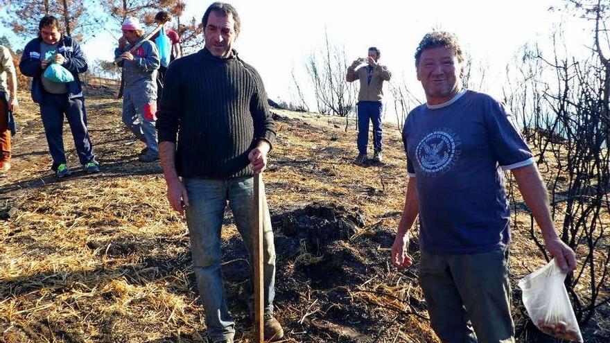 Voluntarios plantando bellotas en los montes de A Picoña, en Salceda de Caselas. // D.B.M.