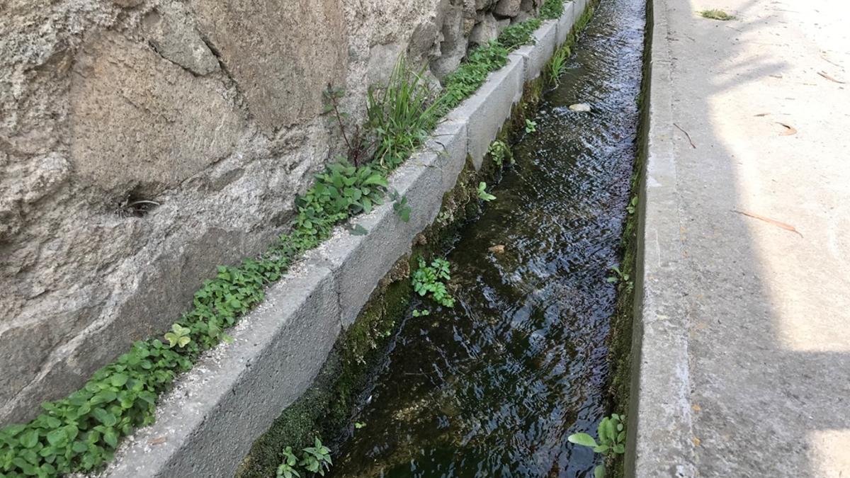 Fuga de agua en la riera de Canyet