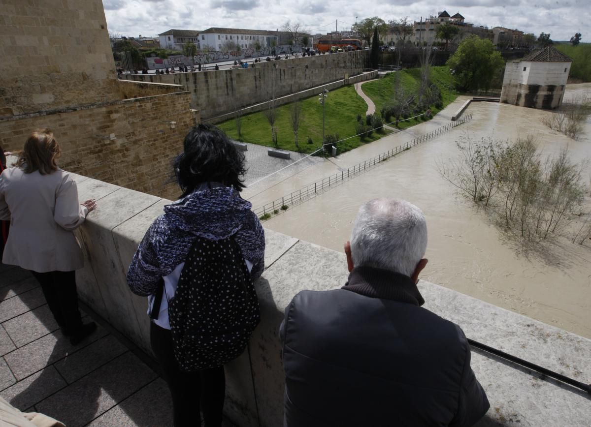 Córdoba, pendiente de la crecida del Guadalquivir